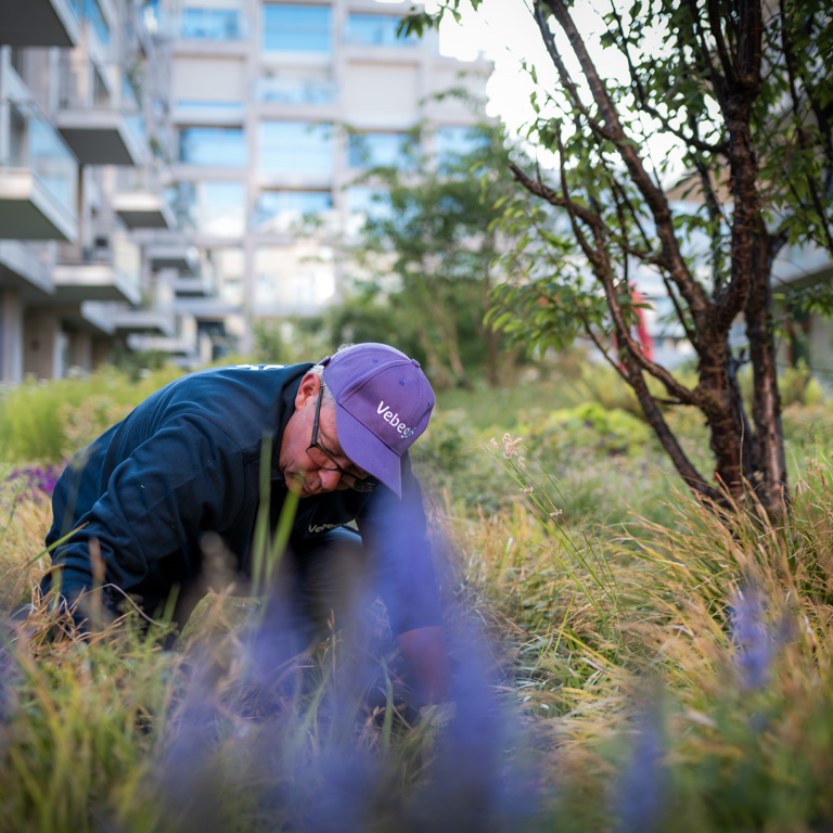 Vebegogroenjuni2025 4420