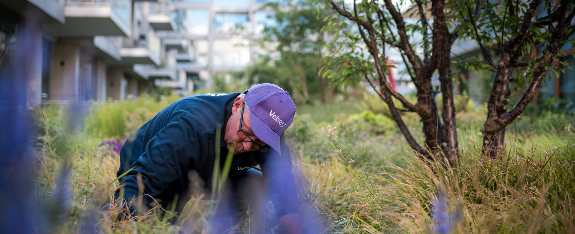 Vebegogroenjuni2025 4420