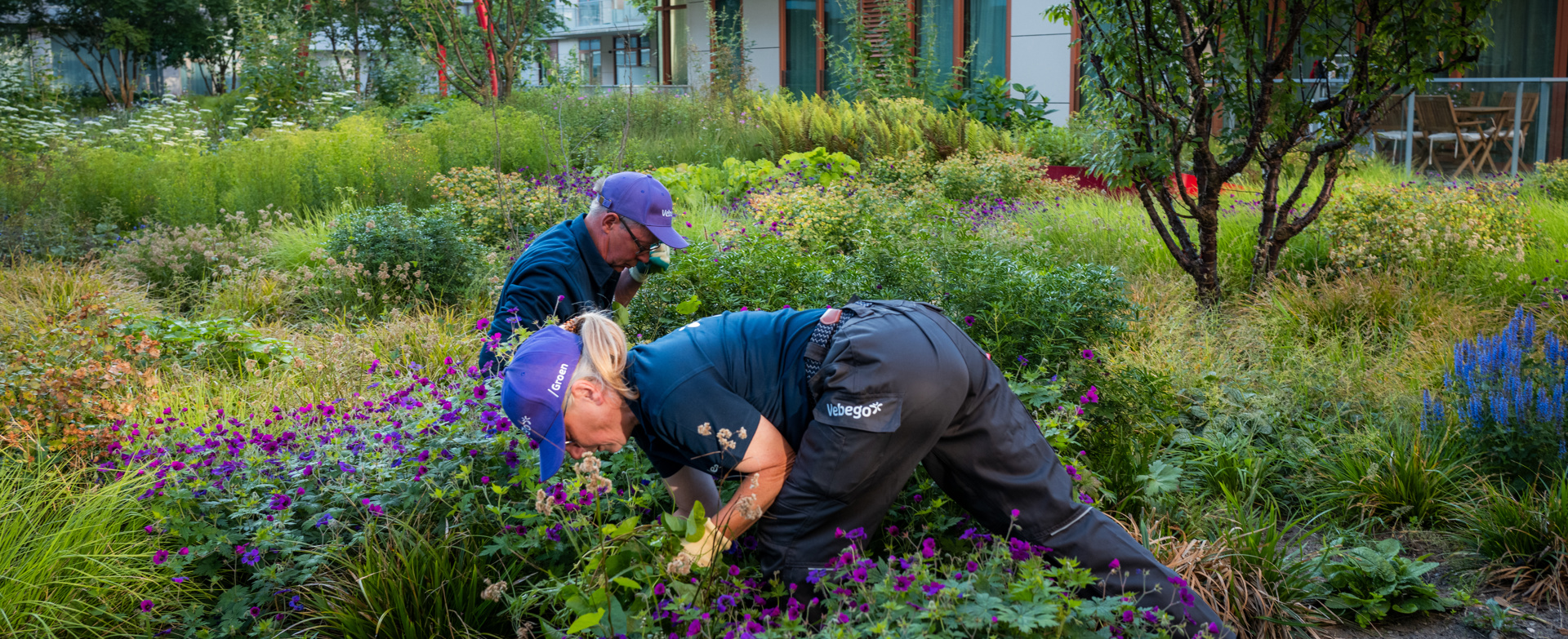 Hoveniers In Het Groen