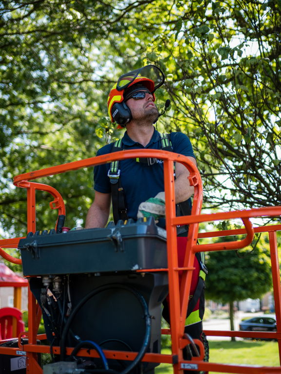 Vebegogroenjuni2025 1665 2