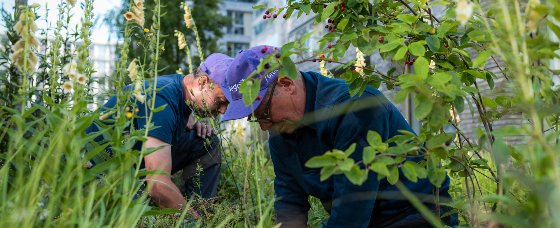 Vebegogroenjuni2025 4356