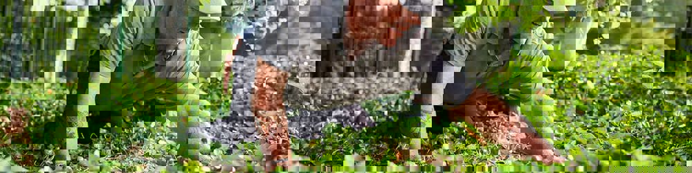 Zandbeek Vebego 2348 V2