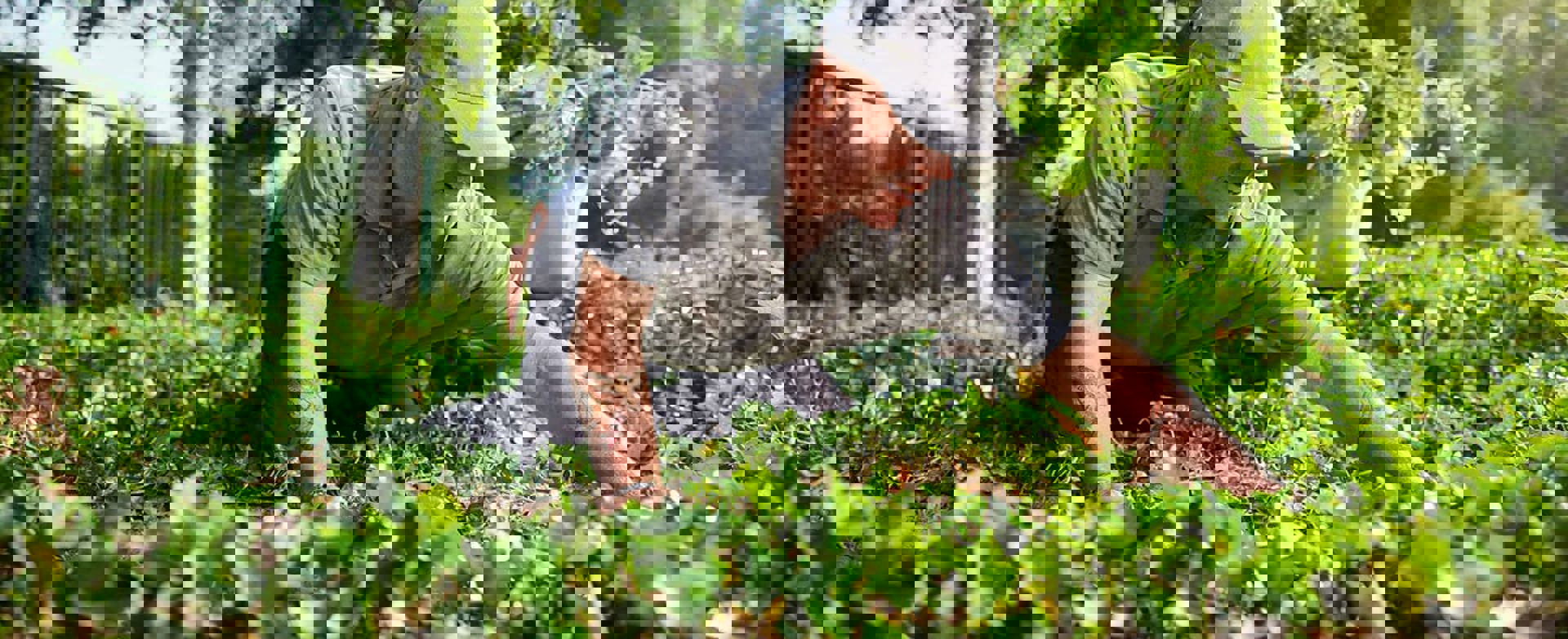 Zandbeek Vebego 2348 V2