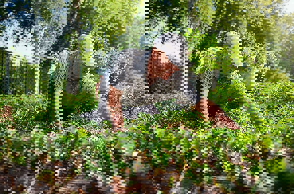 Zandbeek Vebego 2348 V2